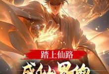 小说《踏上仙路，成仙界的人族最强代表》在线章节阅读-贝壳文学