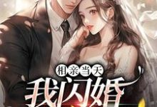 相亲当天:我闪婚亿万富豪这本小说完结了吗?免费查看最新章节-贝壳文学