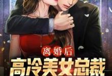 《离婚后,高冷美女总裁跪求复合》小说章节列表免费试读,李笑言彭婉清小说在线阅读-贝壳文学