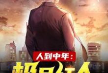 人到中年:极品红人小说,人到中年:极品红人章节在线阅读-贝壳文学