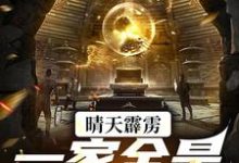 寻找能够免费阅读晴天霹雳，一家全是盗墓贼小说的平台-贝壳文学