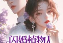 闪婚植物人首富后，她成了豪门团宠小说最新更新在哪里？免费在线看-贝壳文学