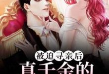小说《被迫寻亲后，真千金的马甲掉疯了》章节免费阅读-贝壳文学