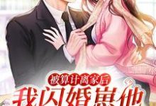 被算计离家后,我闪婚崽他豪门亲爹小说的所有章节都能在哪里免费读到?-贝壳文学