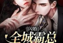 完结版《闪婚：全城霸总一夜失恋》章节阅读-贝壳文学