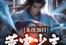小说《系统加持:董家少主貂蝉缘》在线章节阅读-贝壳文学