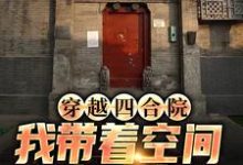 穿越四合院，我带着空间来致富最新章节，穿越四合院，我带着空间来致富免费阅读-贝壳文学