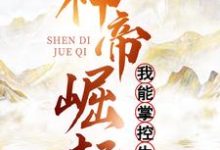 免费在线阅读神帝崛起：我能掌控生死小说的正规网站有哪些？-贝壳文学