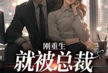 《刚重生，就被总裁狂宠上天了》小说陆霆司夏沫章节章节免费在线阅读-贝壳文学