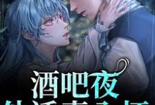小说《酒吧夜，他诱妻入怀》章节免费阅读-贝壳文学