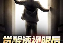 免费看觉醒透视眼后，我不当舔狗了小说的网站有哪些？-贝壳文学