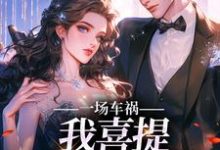小说《一场车祸,我喜提妻女一双?》在线章节阅读-贝壳文学