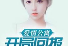 爱情公寓：开局回报诸葛大力小说完结了吗？在哪里可以免费读到？-贝壳文学