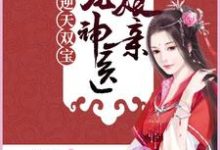 求逆天双宝:团宠神医娘亲小说免费资源-贝壳文学