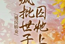 小说《通房娇妾，疯批世子囚她上瘾》在线章节阅读-贝壳文学