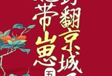 苏梨楚怀安顾远风陆乾小说五年后,她带崽野翻京城了在线阅读章节-贝壳文学
