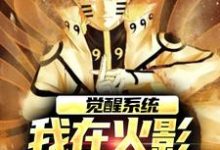 觉醒系统，我在火影世界赢麻了小说的所有章节都能在哪里免费读到？-贝壳文学
