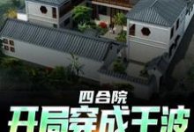四合院：开局穿成王波，拒绝白嫖免费阅读，四合院：开局穿成王波，拒绝白嫖章节在线阅读-贝壳文学