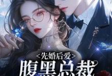 先婚后爱：腹黑总裁为她心狂跳姜枳聂沉凛小说免费阅读-贝壳文学