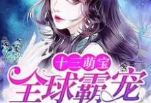 完结版《十三萌宝:全球霸宠权太太》章节阅读-贝壳文学