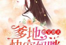 完结版《酷宝逆天:爹地,快宠妈咪》章节目录在线阅读-贝壳文学