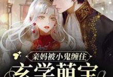 亲妈被小鬼缠住，玄学萌宝在线画符小说无弹窗阅读的网站推荐-贝壳文学