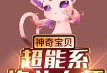 浩言小说神奇宝贝:超能系格斗大师在线阅读章节-贝壳文学