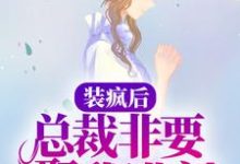哪里能找到装疯后，总裁非要娶我进门小说的最新更新和免费章节？-贝壳文学