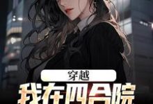 穿越:我在四合院狂娶妻免费阅读,穿越:我在四合院狂娶妻章节在线阅读-贝壳文学