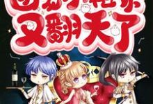 大佬们的团宠小祖宗又翻天了垚一，大佬们的团宠小祖宗又翻天了小说免费阅读-贝壳文学