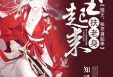 寻找能够免费阅读残王，扶老身起来小说的平台-贝壳文学