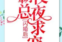 闪婚后：霸总夜夜求宠免费阅读，闪婚后：霸总夜夜求宠章节目录-贝壳文学