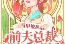 马甲被扒后，前夫总裁悔不当初 初之心盛霆烨小说大结局免费试读-贝壳文学