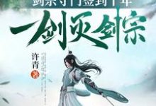 许墨刘晚安小说叫什么（我，剑宗守门签到十年，一剑灭剑宗免费阅读）-贝壳文学