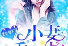 老公宠太深：小妻，乖一点！小说全文哪里可以免费看？-贝壳文学
