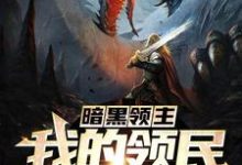暗黑领主：我的领民是巨龙林逸小说在线章节免费阅读-贝壳文学