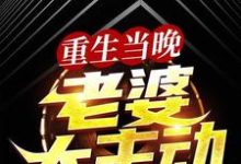 重生当晚，老婆太主动免费阅读，重生当晚，老婆太主动章节在线阅读-贝壳文学
