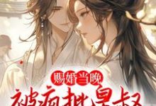 赐婚当晚,被疯批皇叔强取豪夺这本小说完结了吗?免费查看最新章节-贝壳文学