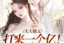 在线免费阅读夫人她又打来一个亿！这婚我结！完整小说-贝壳文学