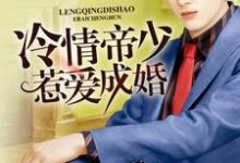 冷情帝少惹爱成婚古佳茉易珏洛奇,冷情帝少惹爱成婚最新章节-贝壳文学