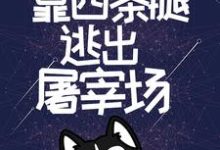 顾伤小说开局无限蓝天，靠四条腿逃出屠宰场章节免费阅读-贝壳文学