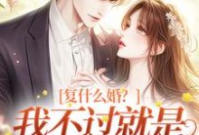 在线寻找复什么婚?我不过就是个备胎嘛!小说的无删减版本-贝壳文学