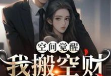 小说《空间觉醒:我搬空财库寻军官》章节免费阅读-贝壳文学