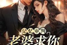 免费看记忆审判:老婆求你看我一眼小说的网站有哪些?-贝壳文学
