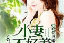 《惹爱成婚:小妻不好养》小说章节在线试读,《惹爱成婚:小妻不好养》最新章节目录-贝壳文学