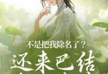 免费看不是把我除名了？还来巴结本妃作甚小说的网站有哪些？-贝壳文学