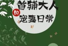 《首辅大人的宠妻日常》小说大结局免费试读 南苏钟离渊小说-贝壳文学