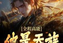全程高能：他是天族世子许长安，全程高能：他是天族世子章节在线阅读-贝壳文学