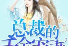 《总裁的千金宠妻》小说章节在线试读,《总裁的千金宠妻》最新章节目录-贝壳文学
