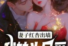 石昊水婉婷小说妻子红杏出墙，我转头另爱章节免费阅读-贝壳文学